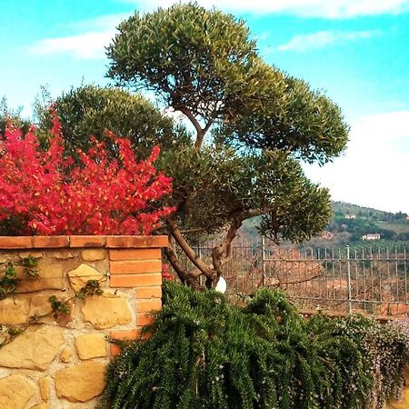 Отель Olivo Bonsai Пассиньяно-суль-Тразимено Экстерьер фото